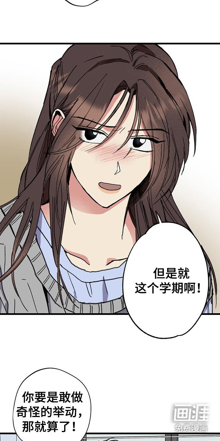 第17章：大好机会