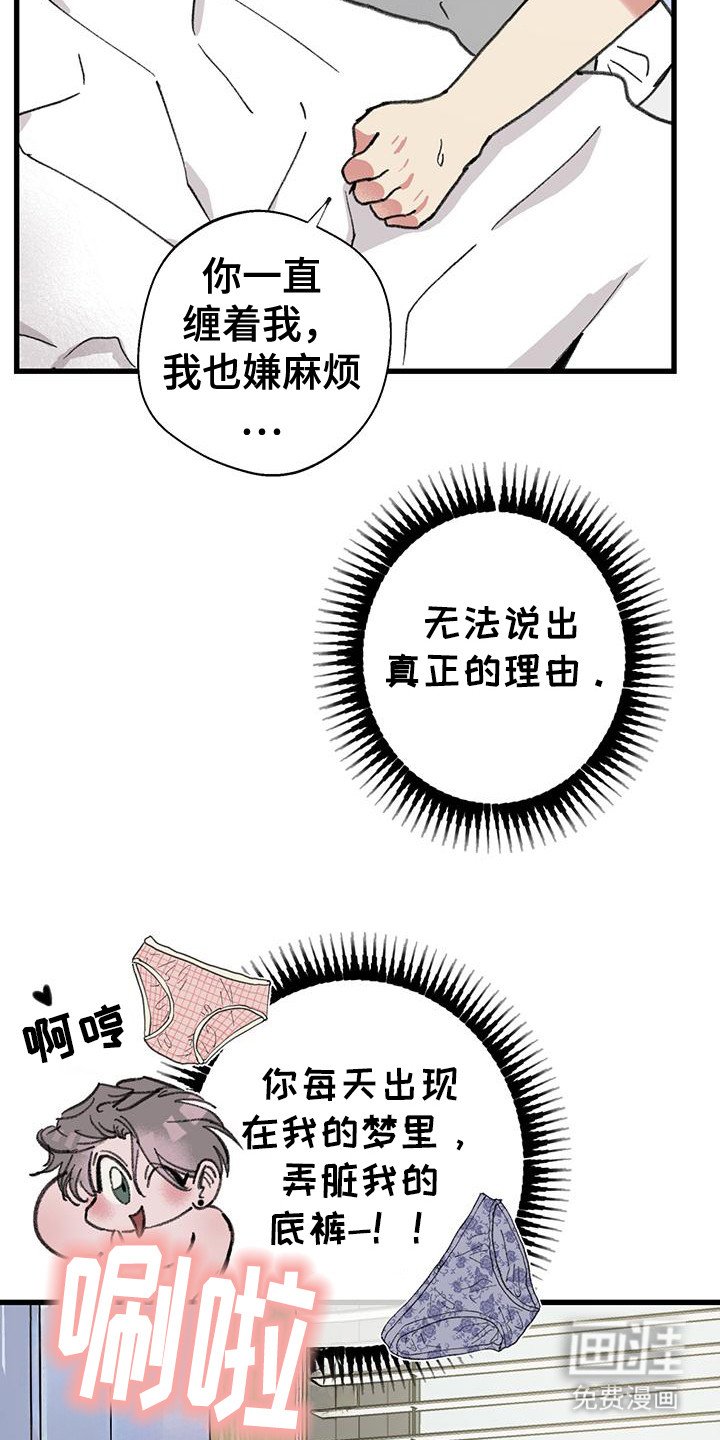 第17章：大好机会