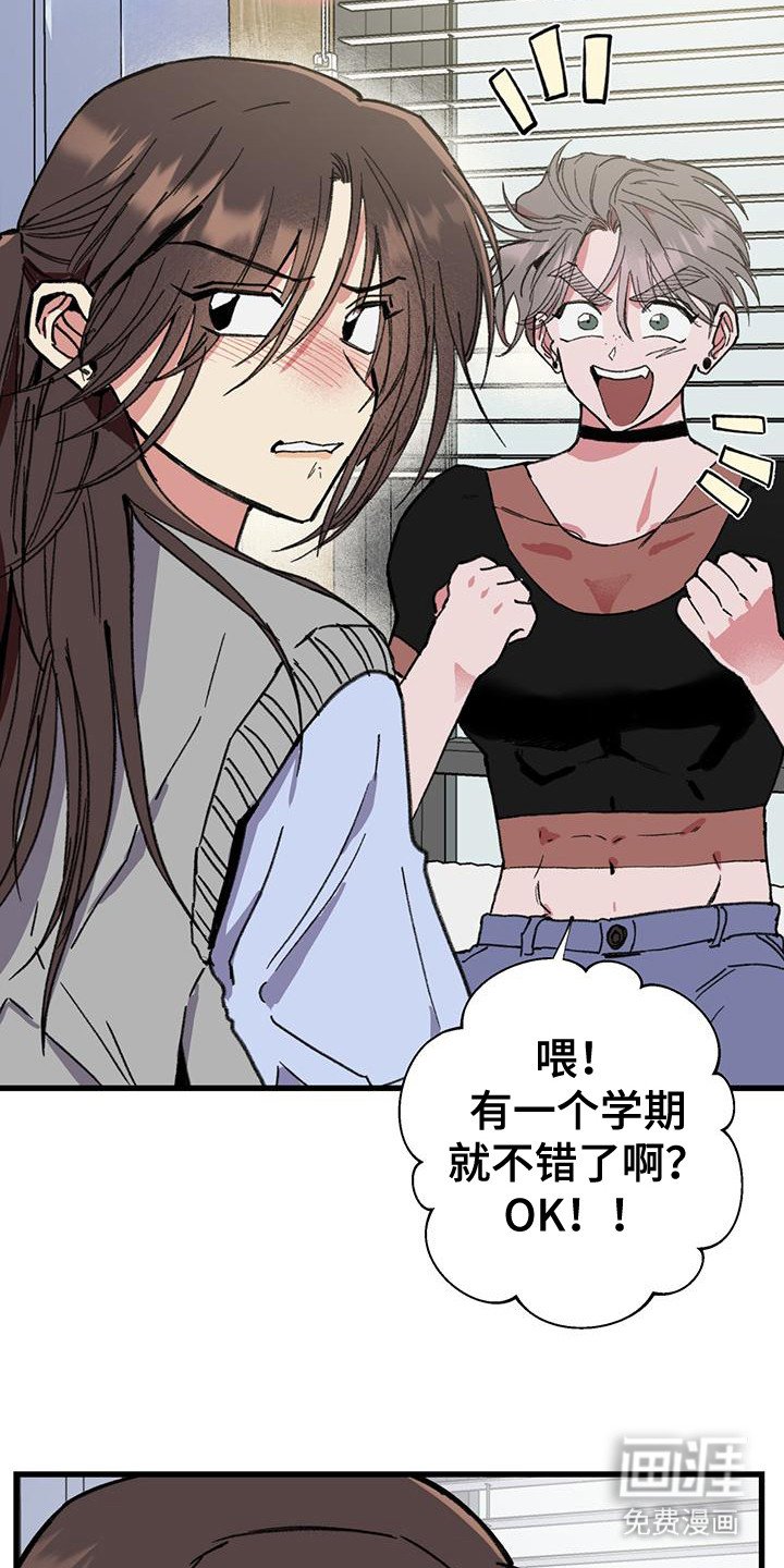 第17章：大好机会