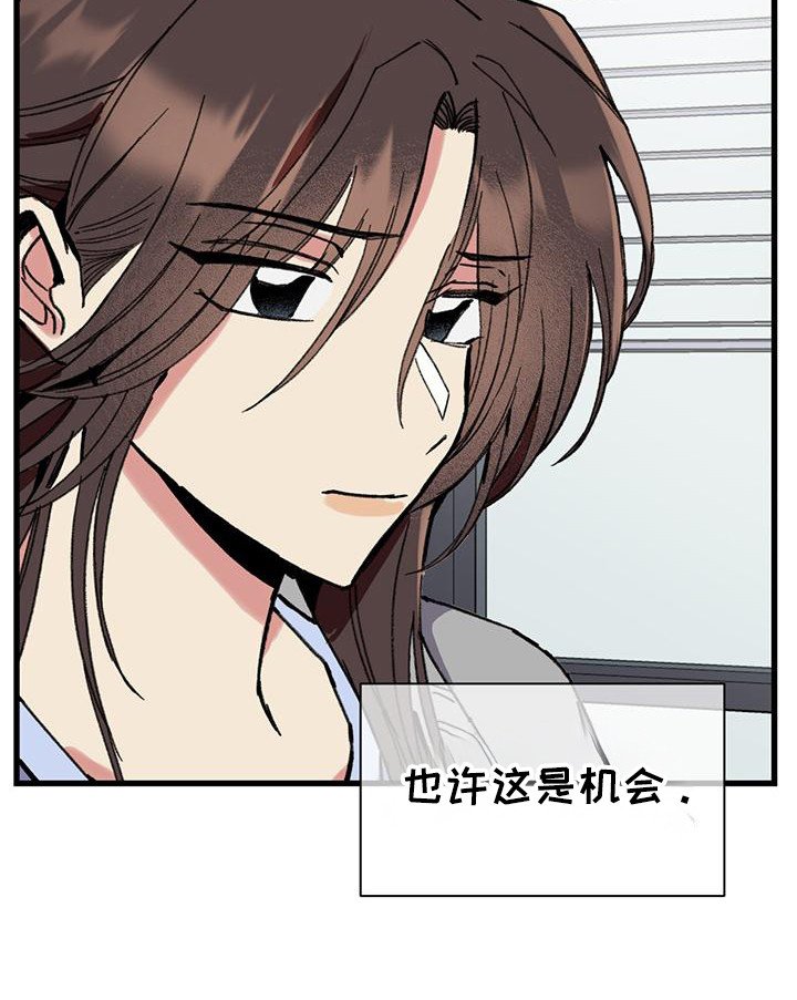 第17章：大好机会