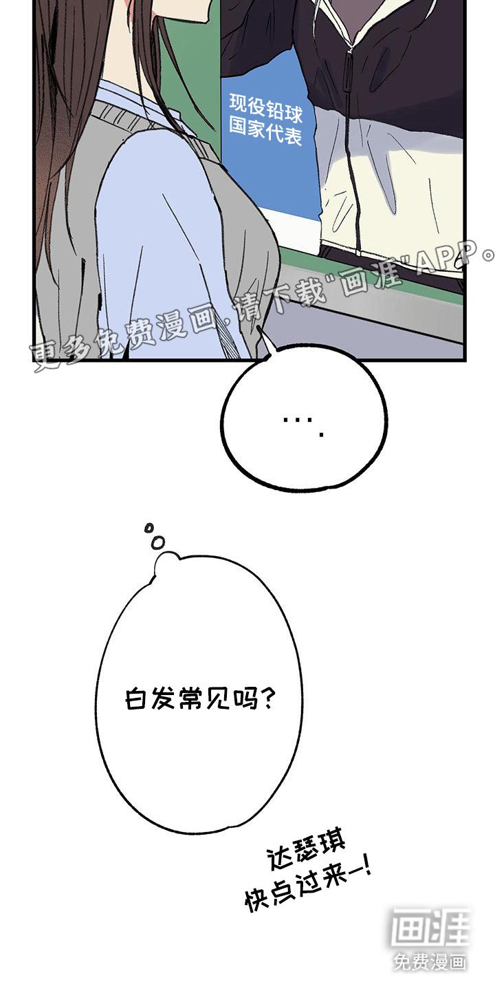 第18章：刀子嘴豆腐心