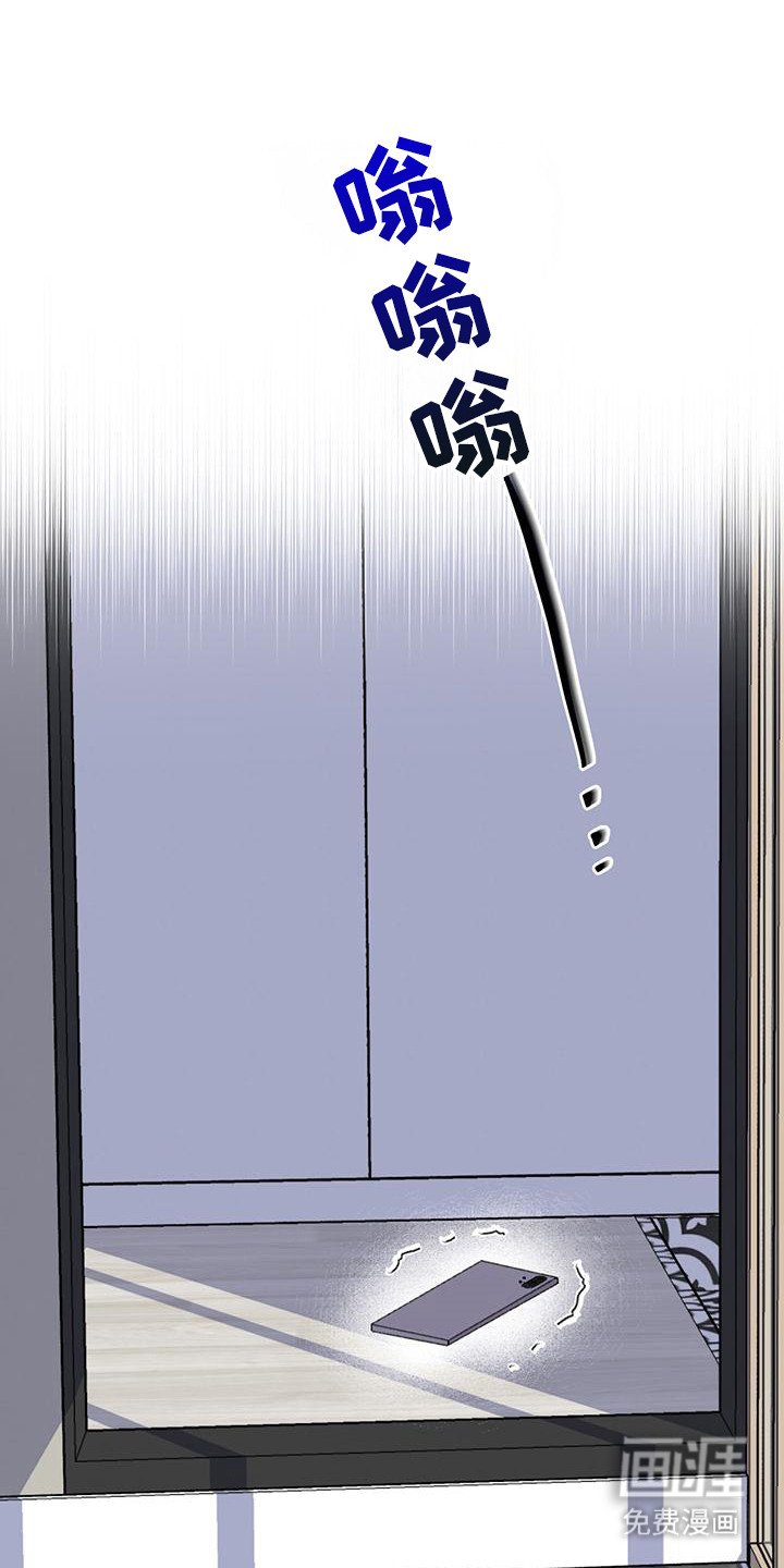第24章：电话
