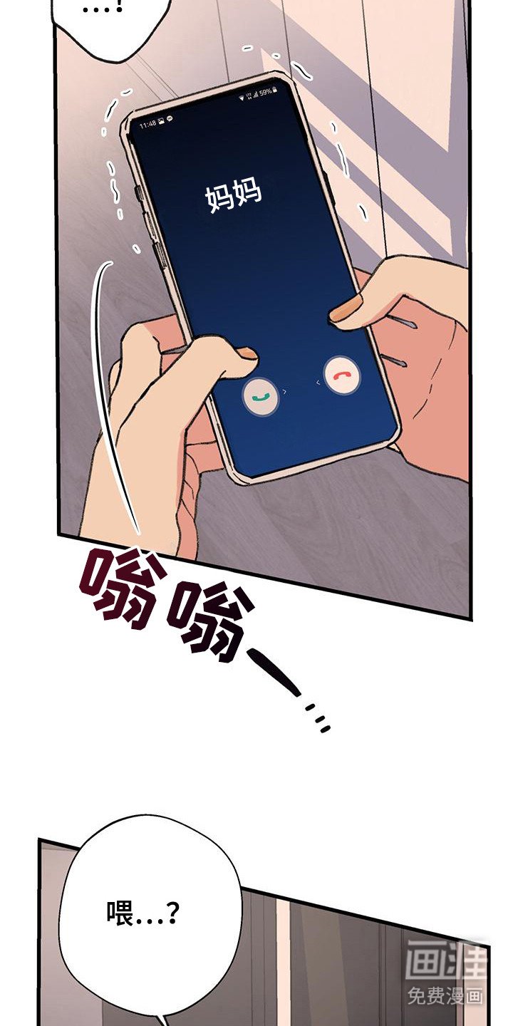 第24章：电话