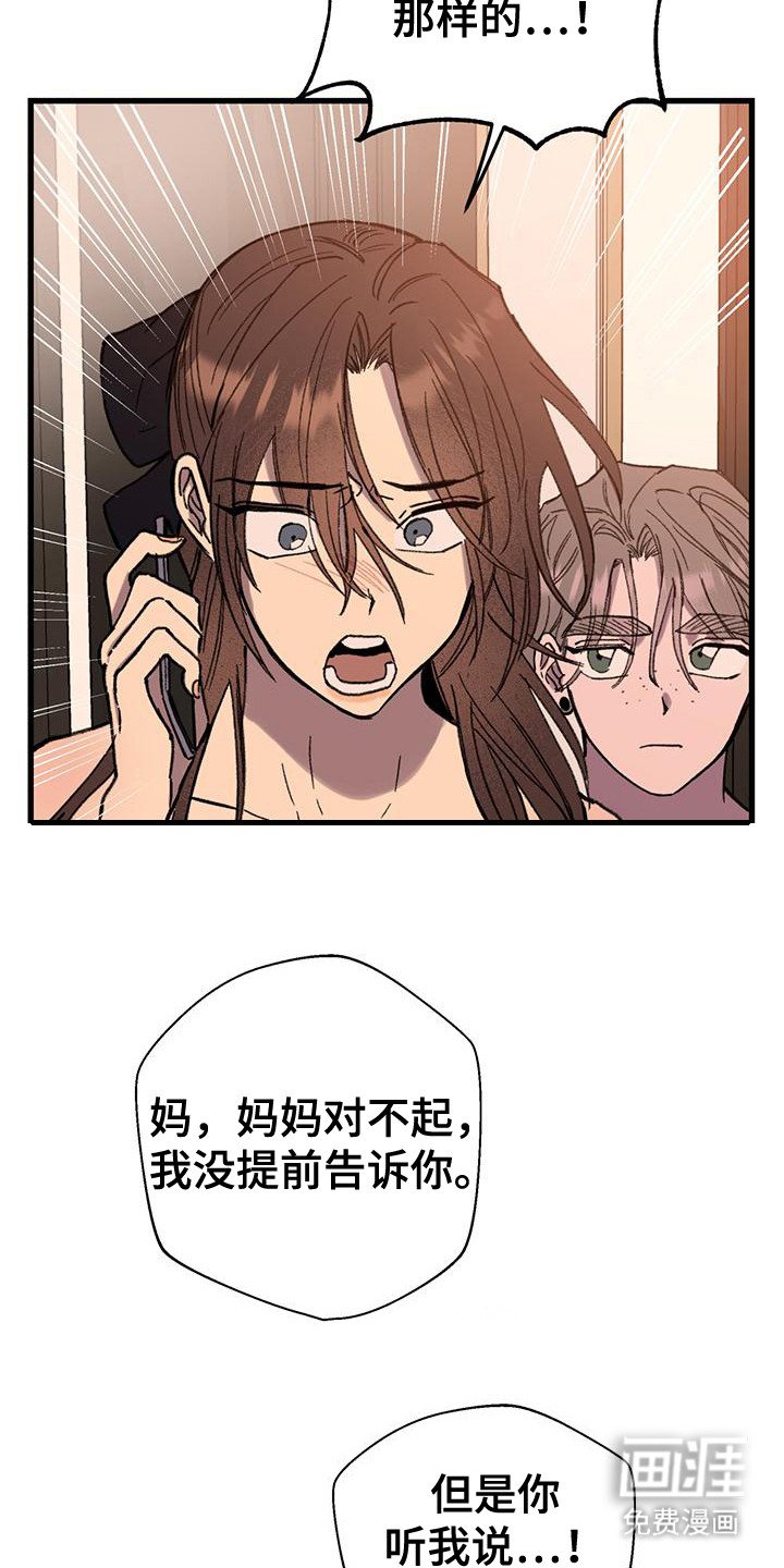 第24章：电话