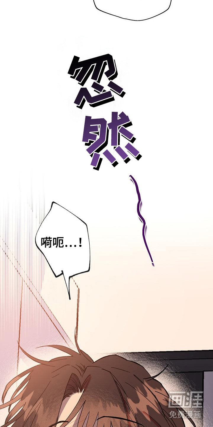 第24章：电话