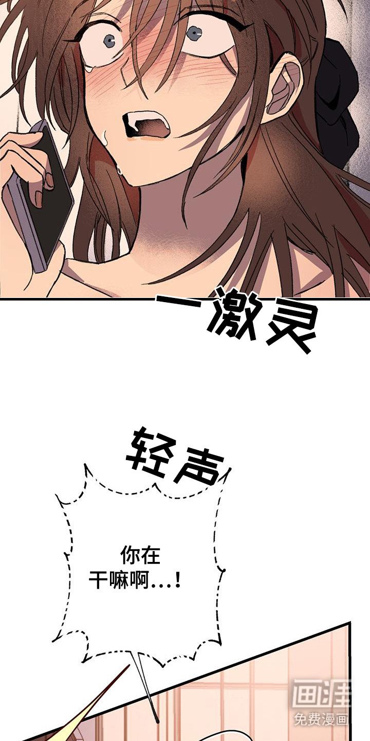 第24章：电话