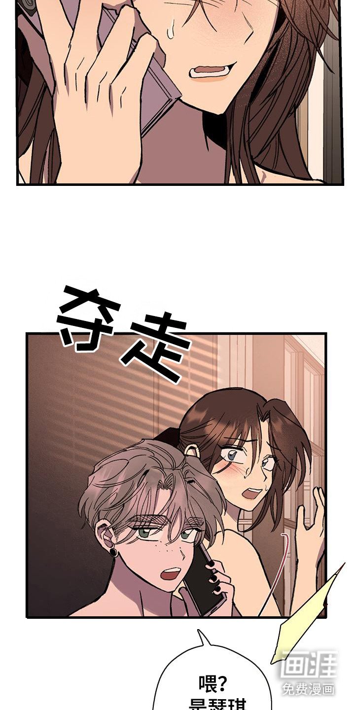第24章：电话