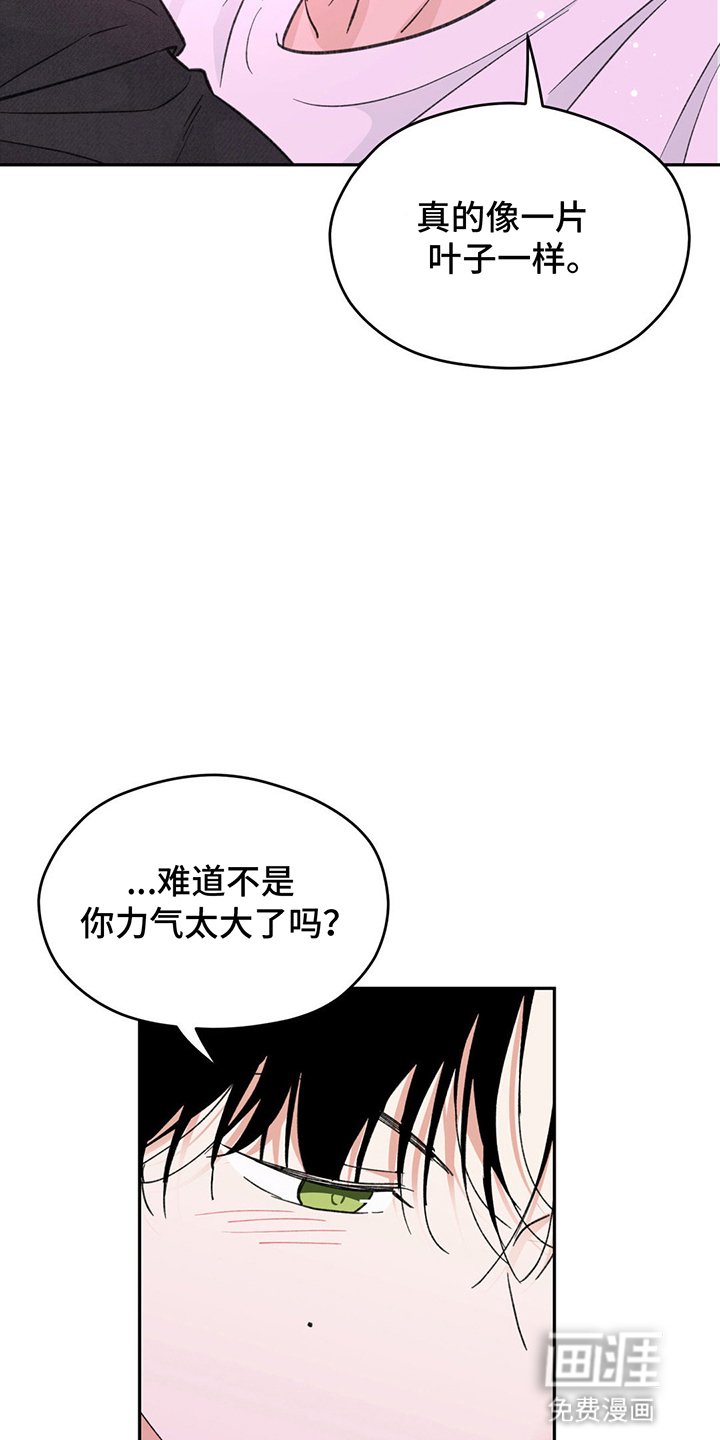 第12章：想试试看吗