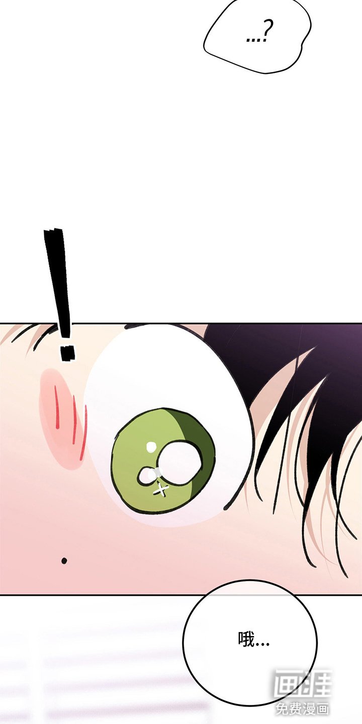 第12章：想试试看吗
