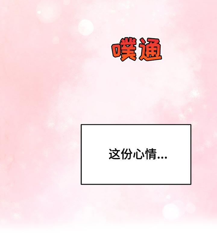 第17章：这份心情