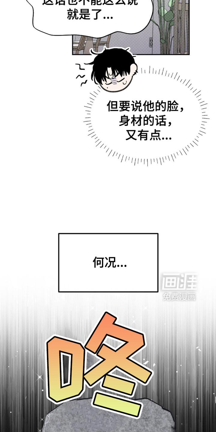 第18章：蓬勃向上的叶子