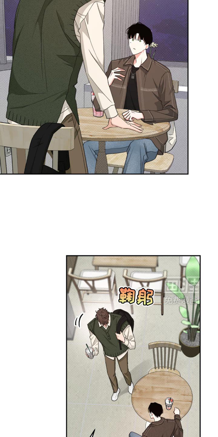 第18章：蓬勃向上的叶子