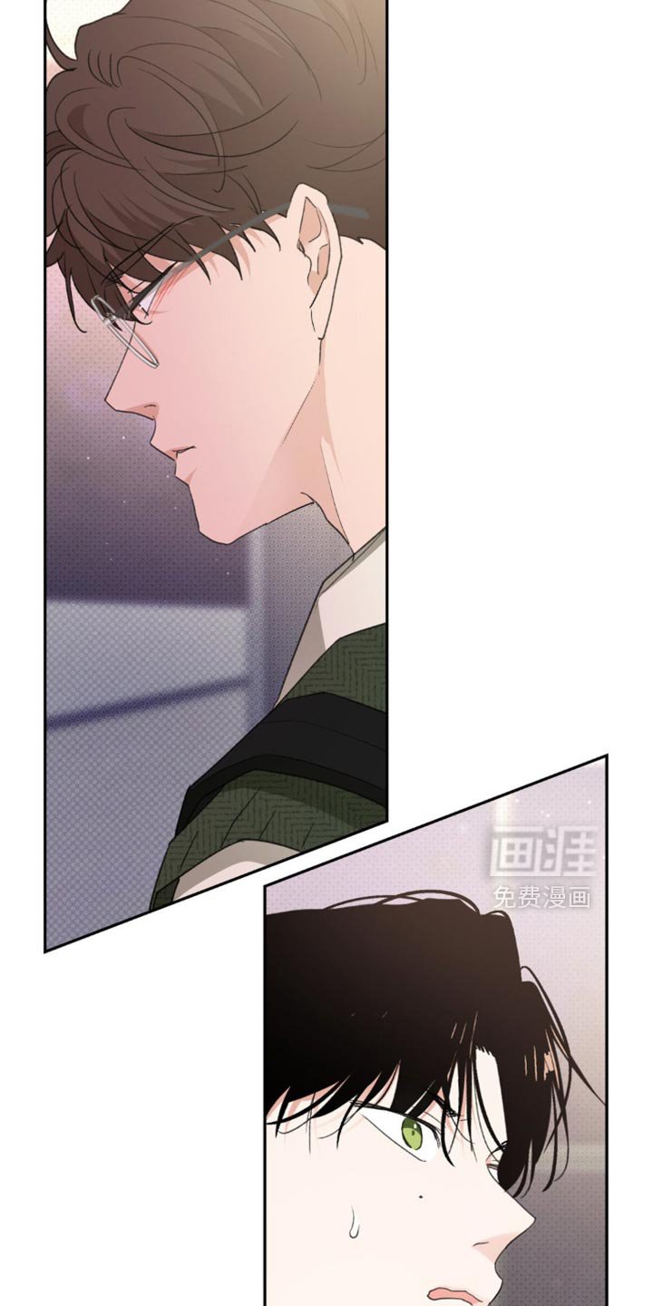 第18章：蓬勃向上的叶子