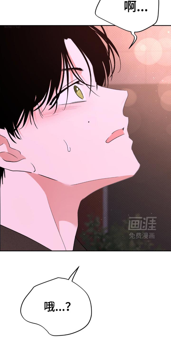 第18章：蓬勃向上的叶子