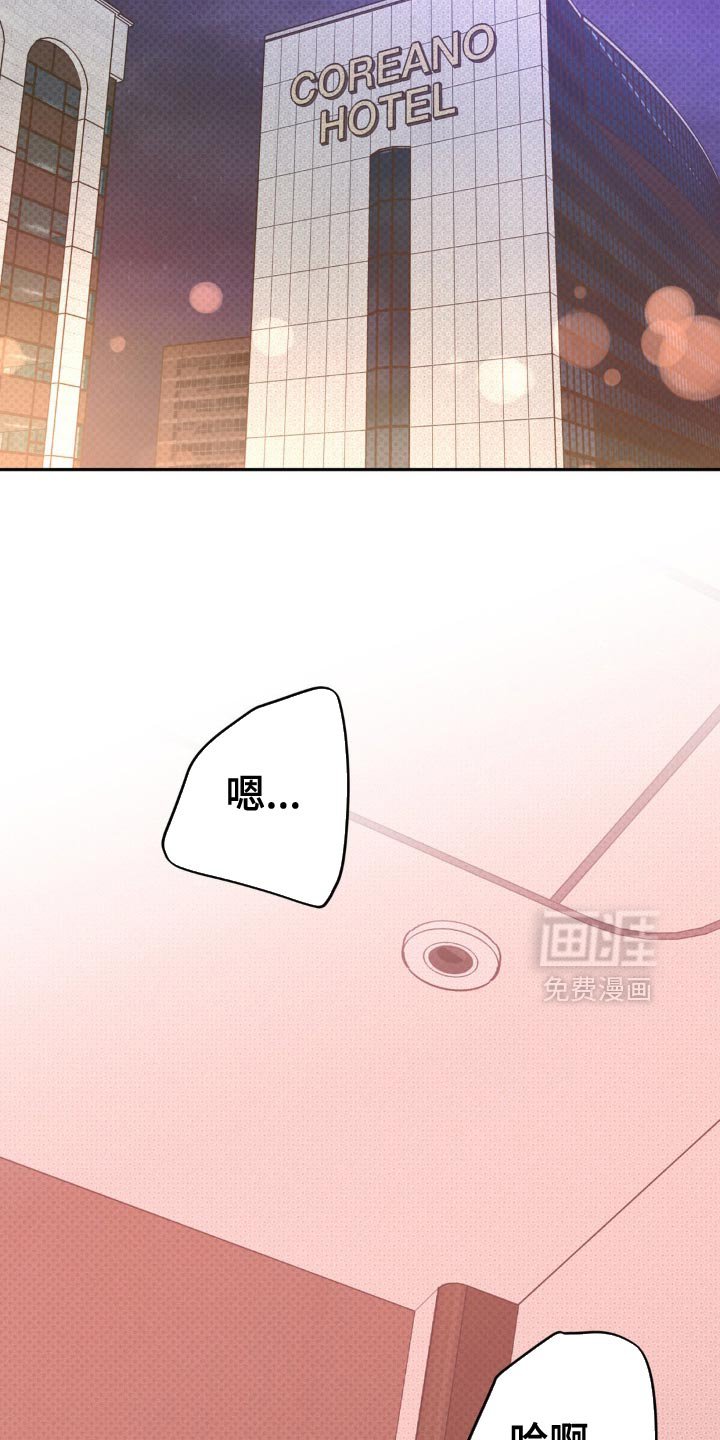 第18章：蓬勃向上的叶子