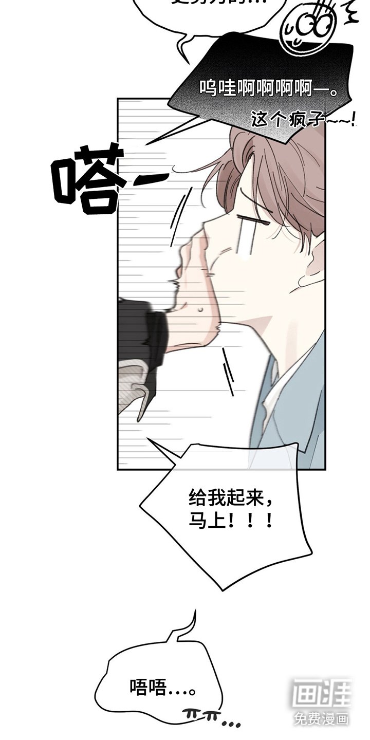 第2章：怎么回事