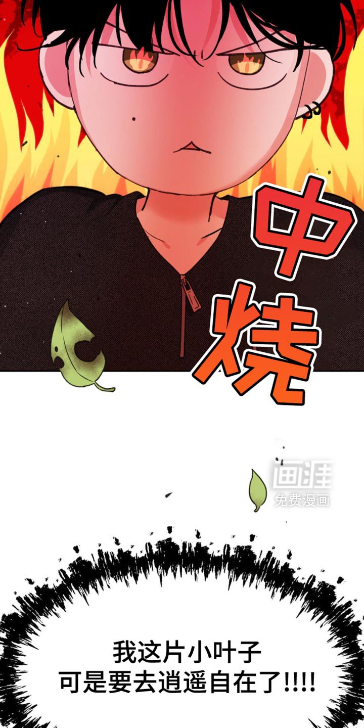 第21章：呆头呆脑