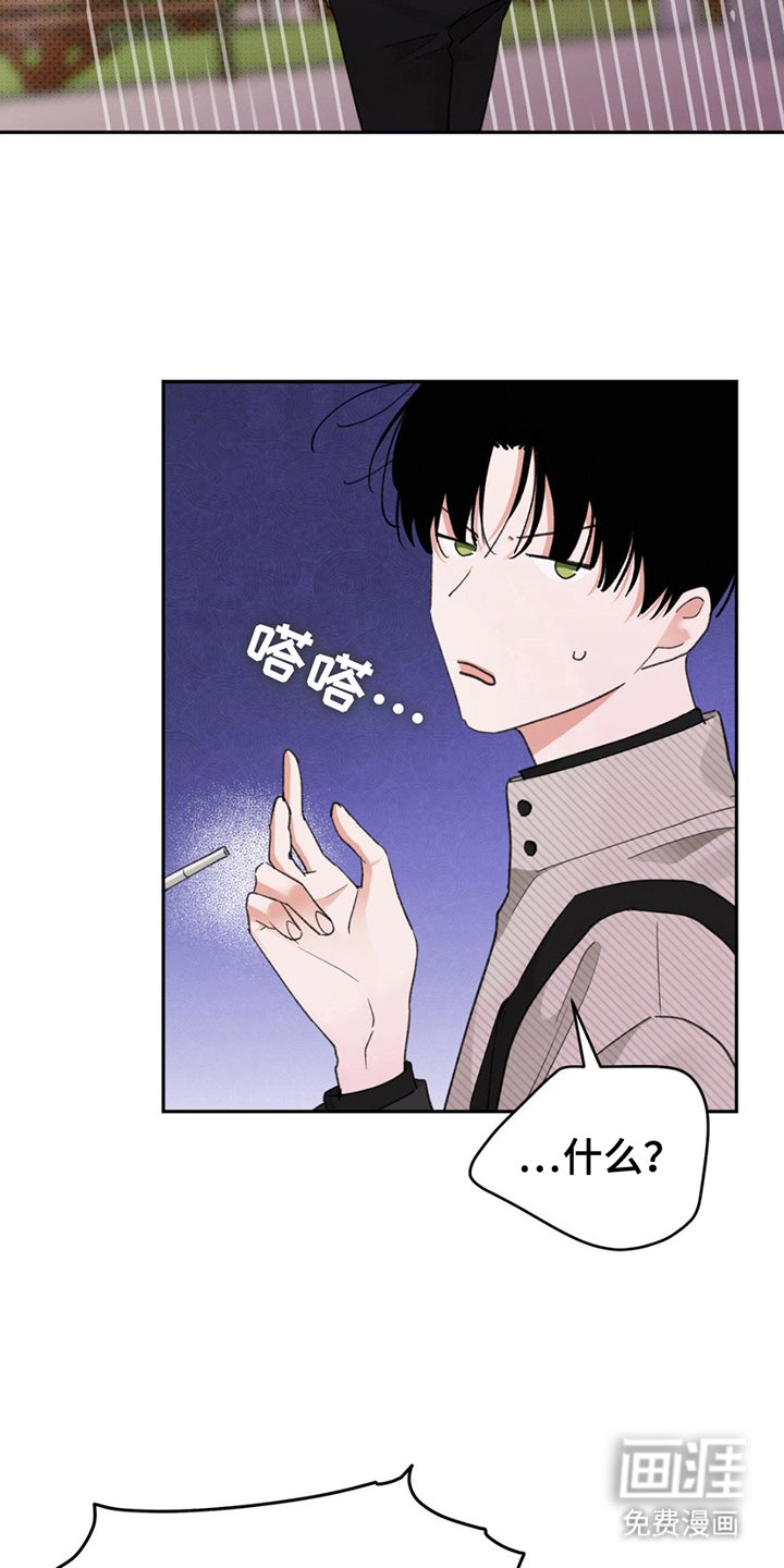 第3章：大胆的决定