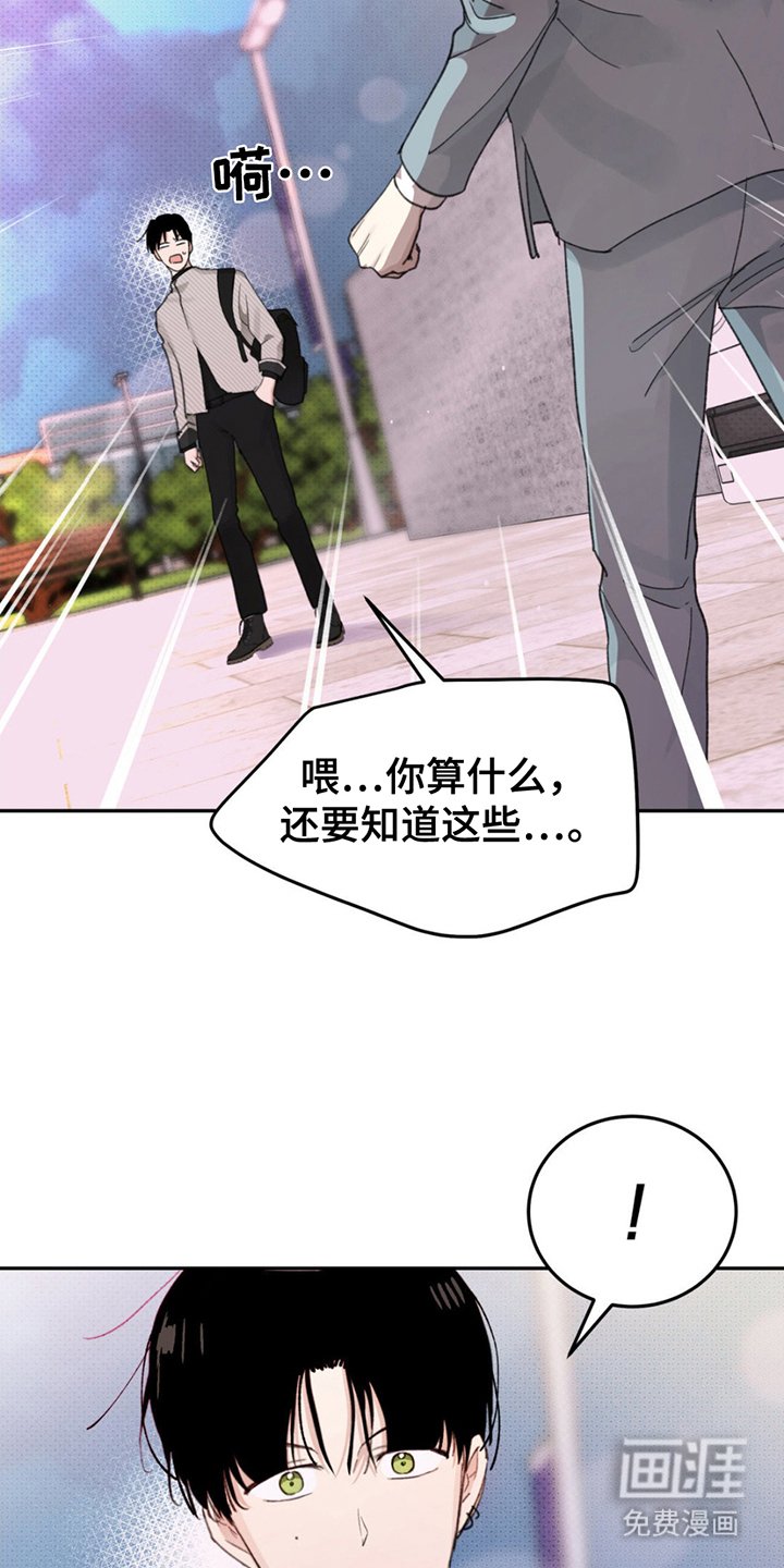 第3章：大胆的决定
