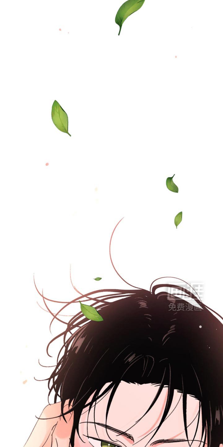 第35章：我很爱你【完结】