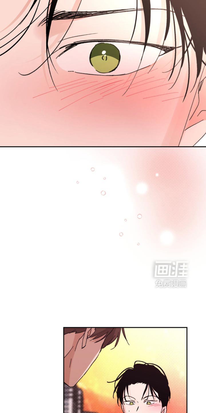 第35章：我很爱你【完结】