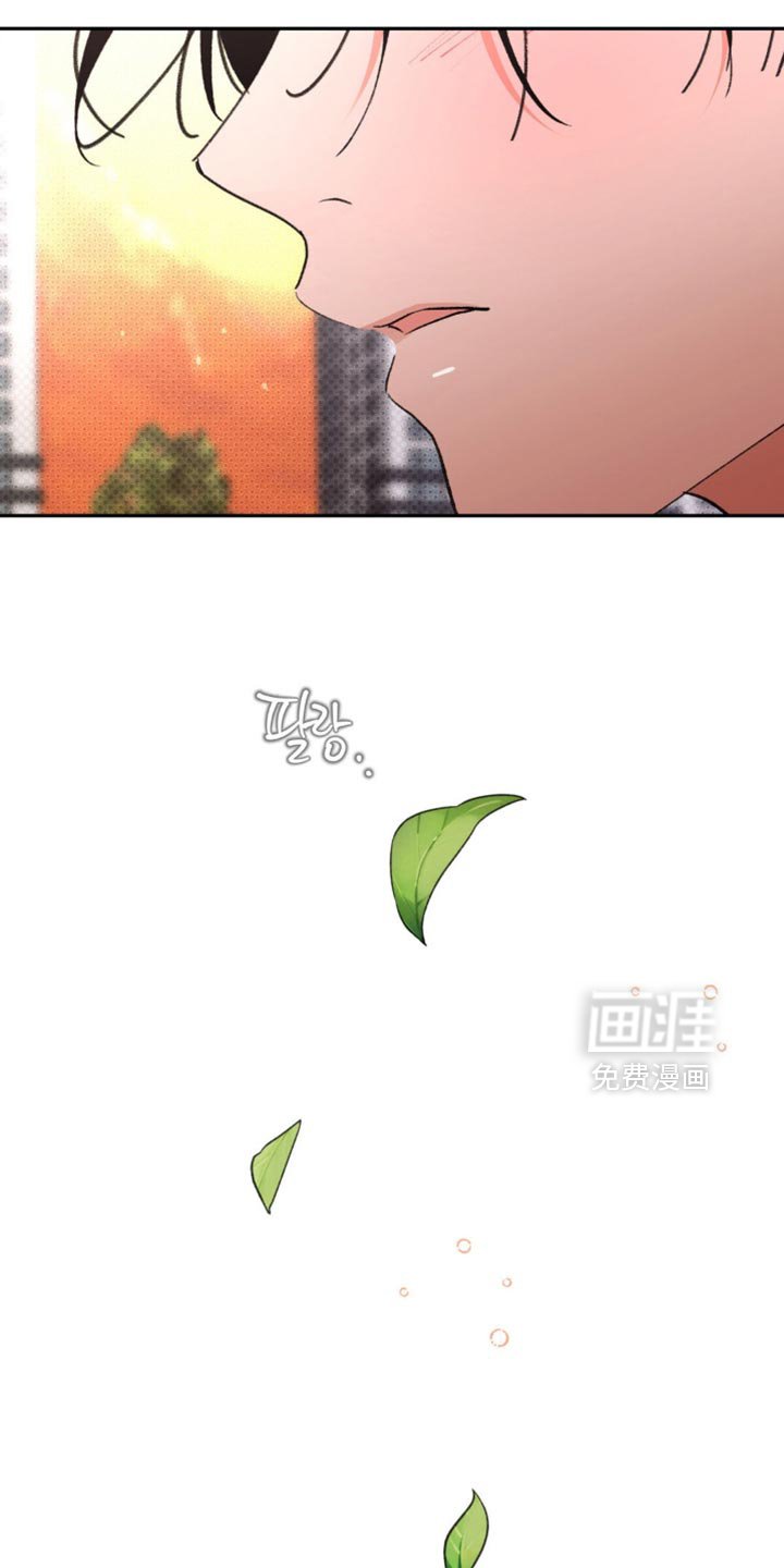 第35章：我很爱你【完结】
