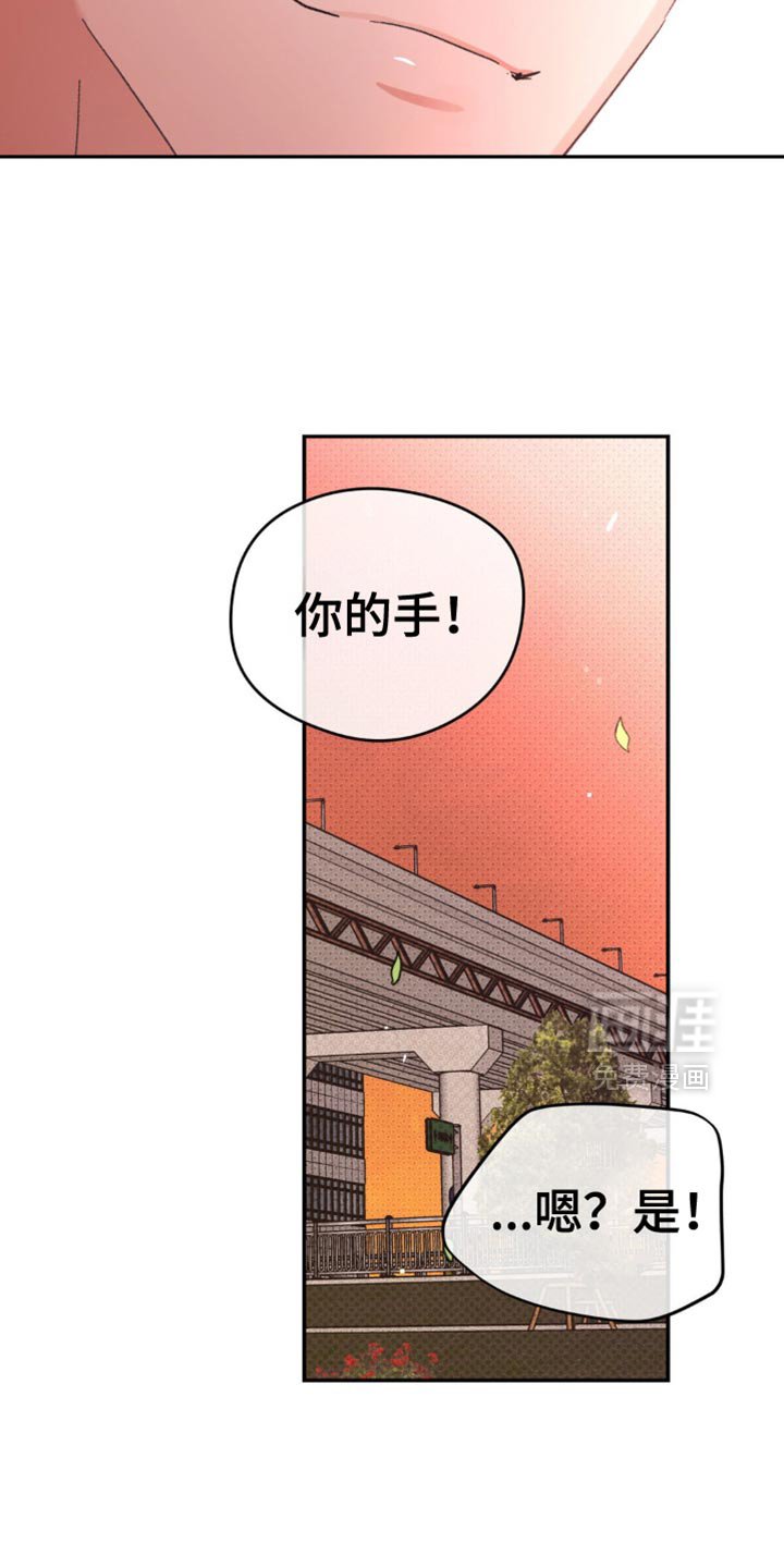 第35章：我很爱你【完结】