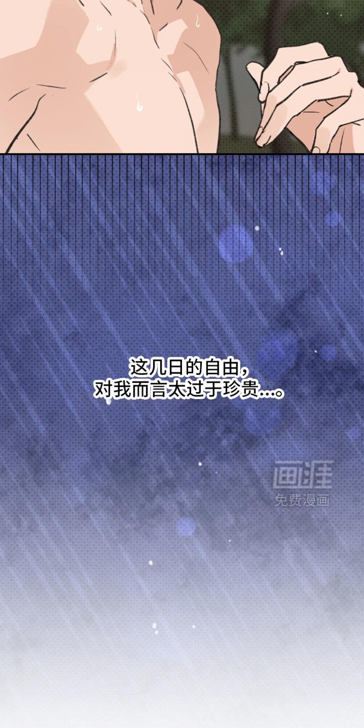 第39章：【番外】让我误会的意思