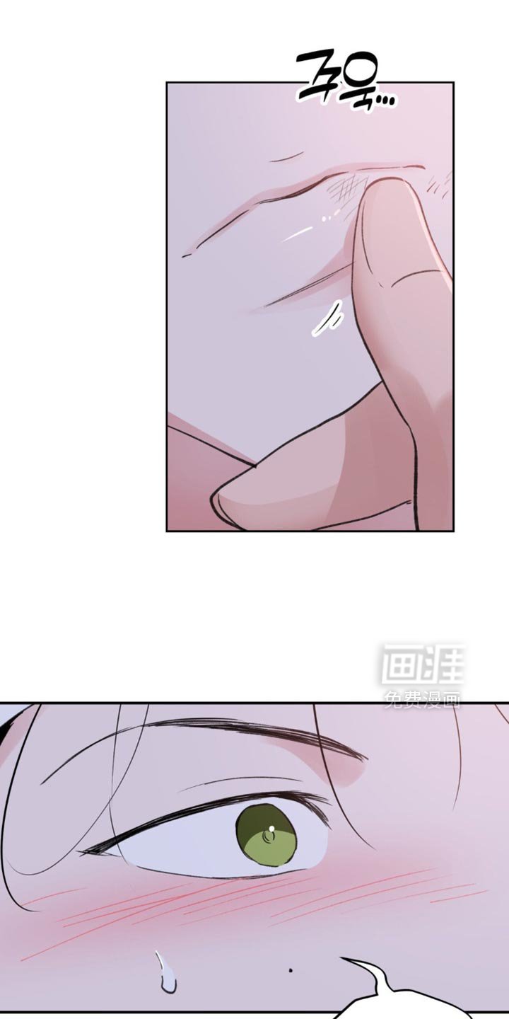 第40章：【番外】肯定是有好感的