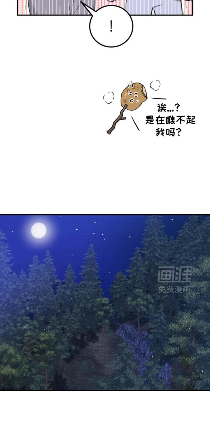第40章：【番外】肯定是有好感的