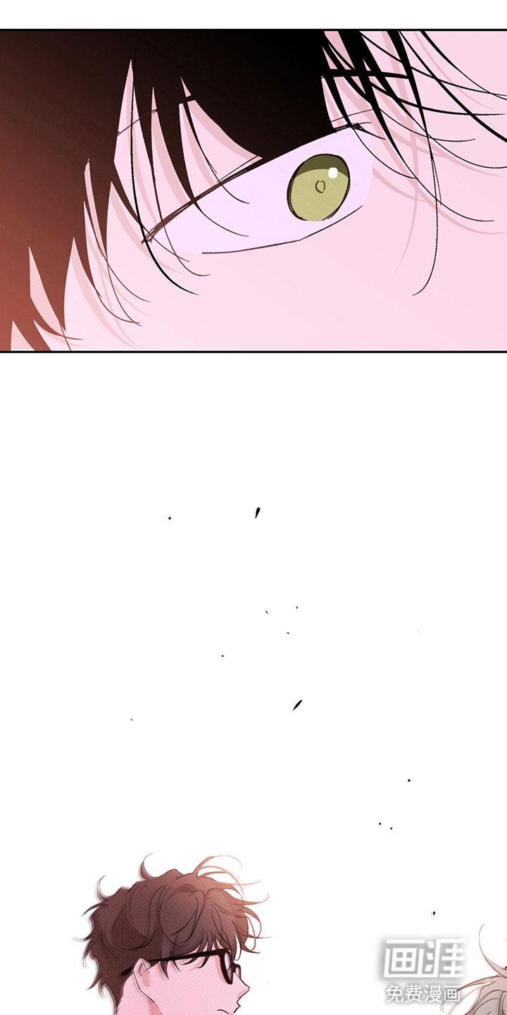 第9章：纠缠