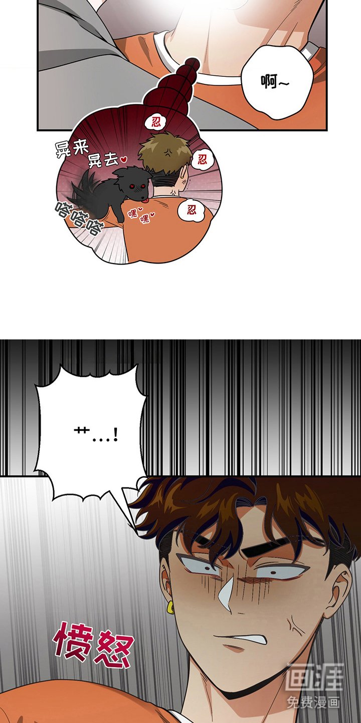 第10章：无法对比