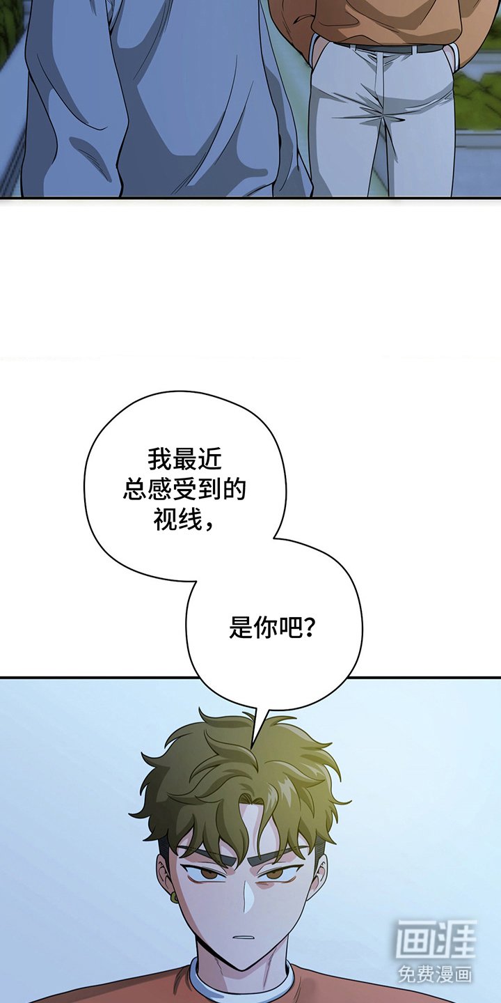第12章：真喜欢我吗