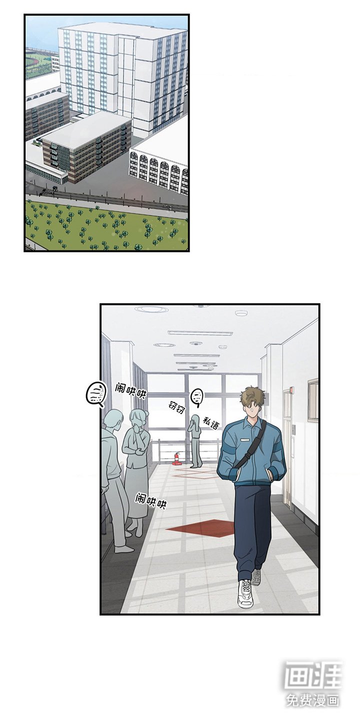 第13章：不该包庇