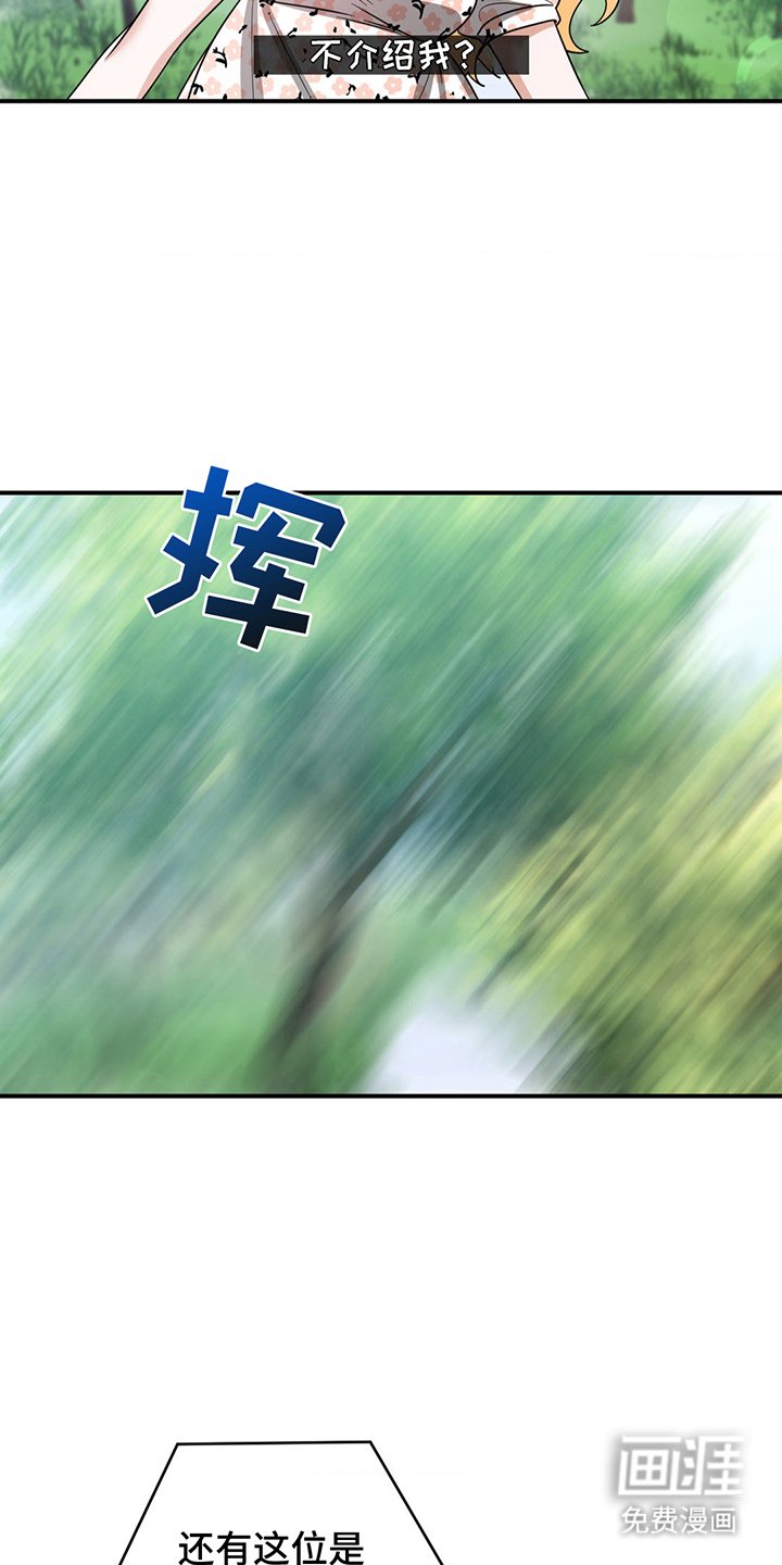 第19章：花精灵
