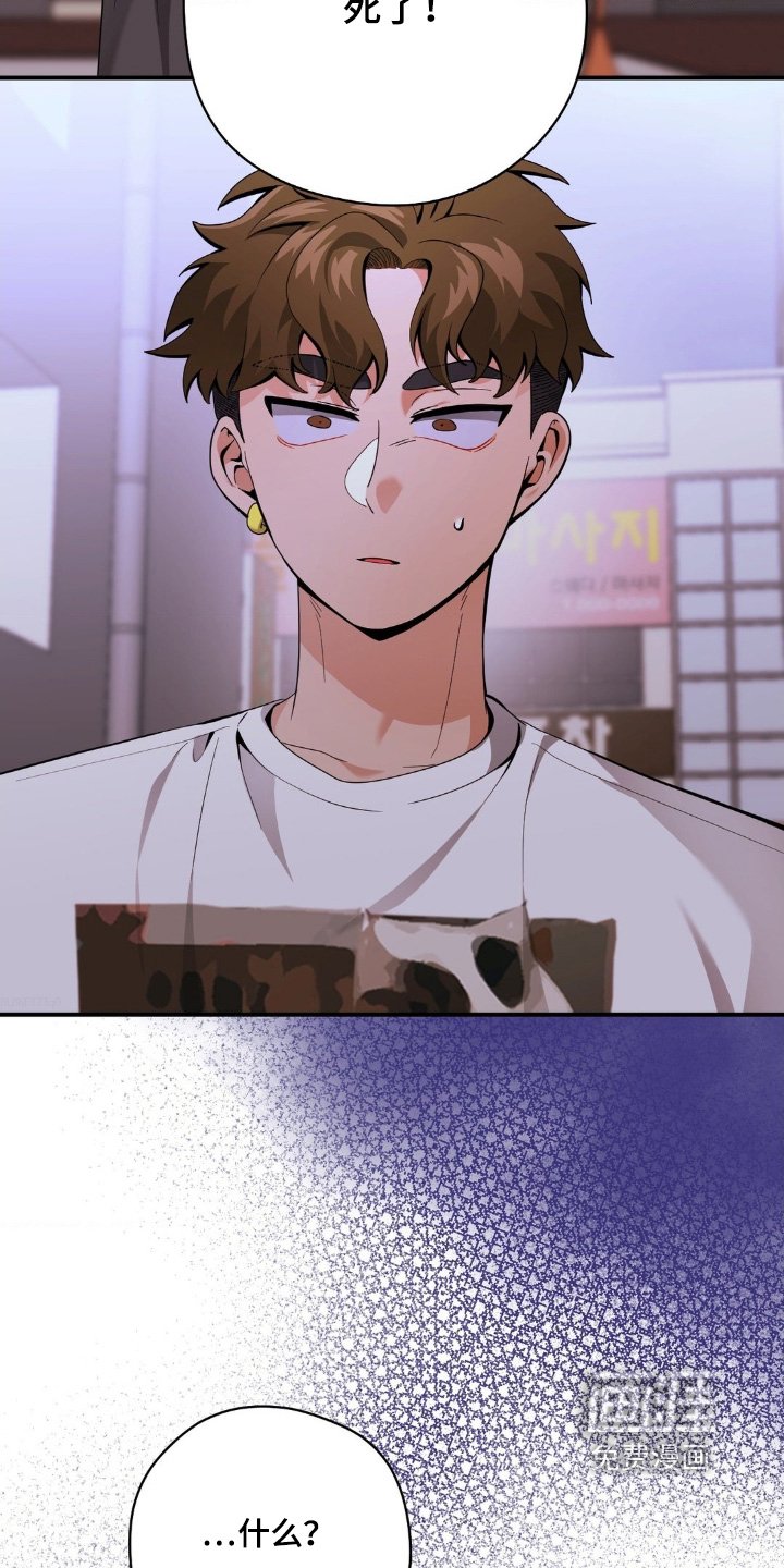 第54章：你说什么