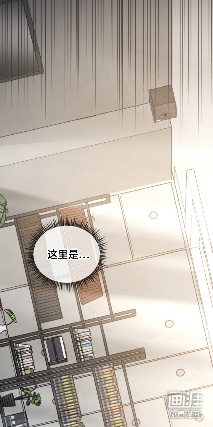 第14章：地下室