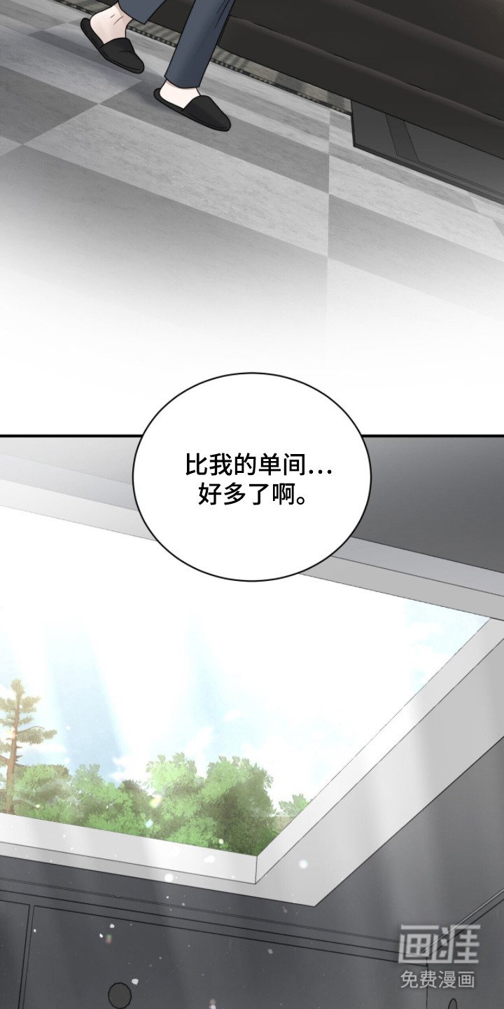 第15章：精心布置