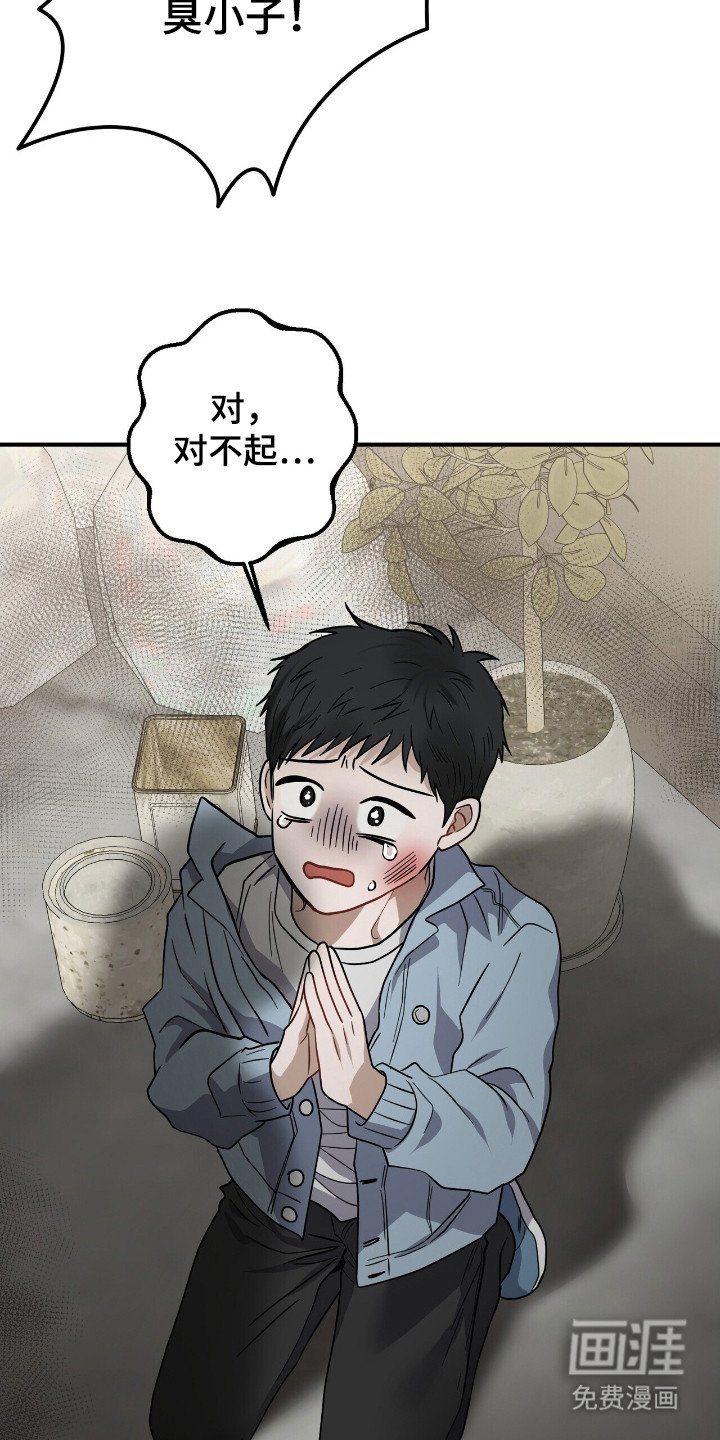 第17章：迎合