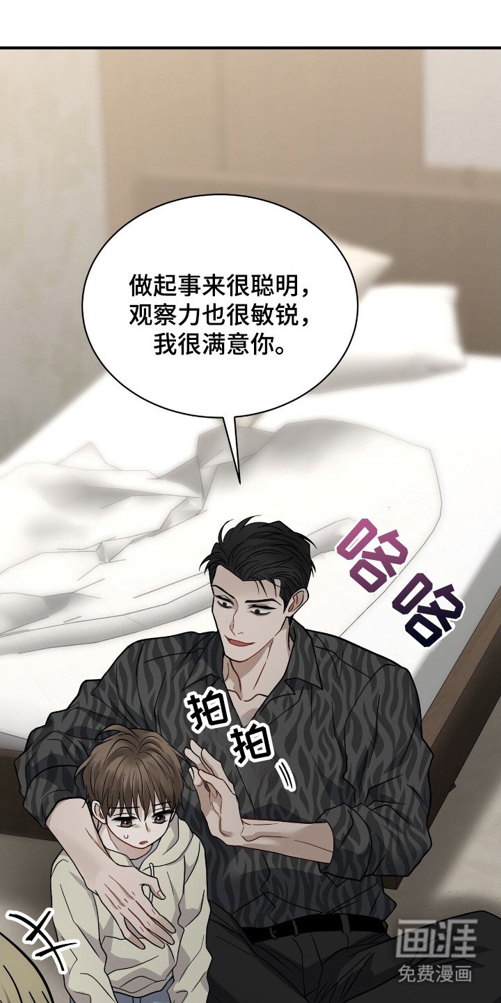 第17章：迎合