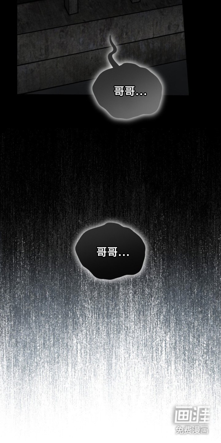第6章：人生规划