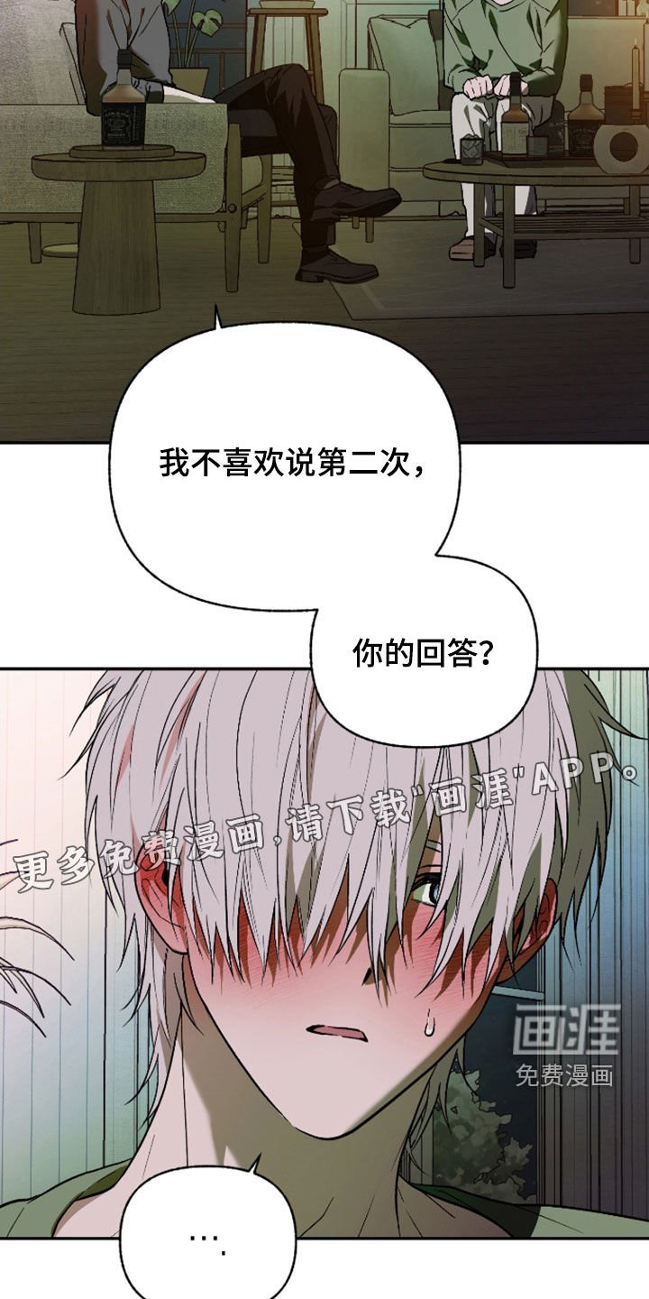 第40章：宠物