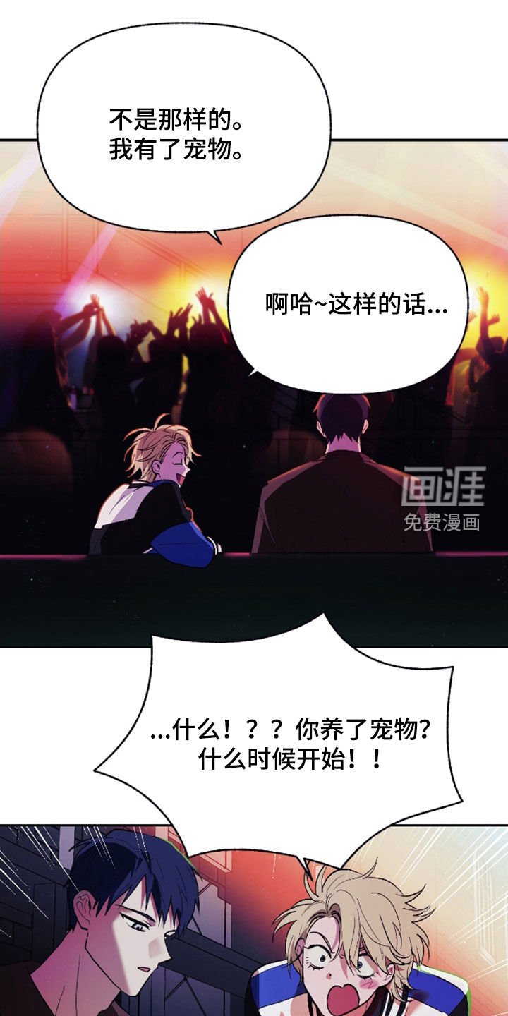第40章：宠物