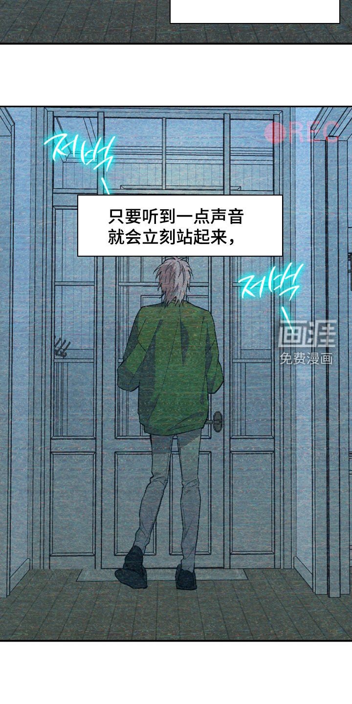 第40章：宠物