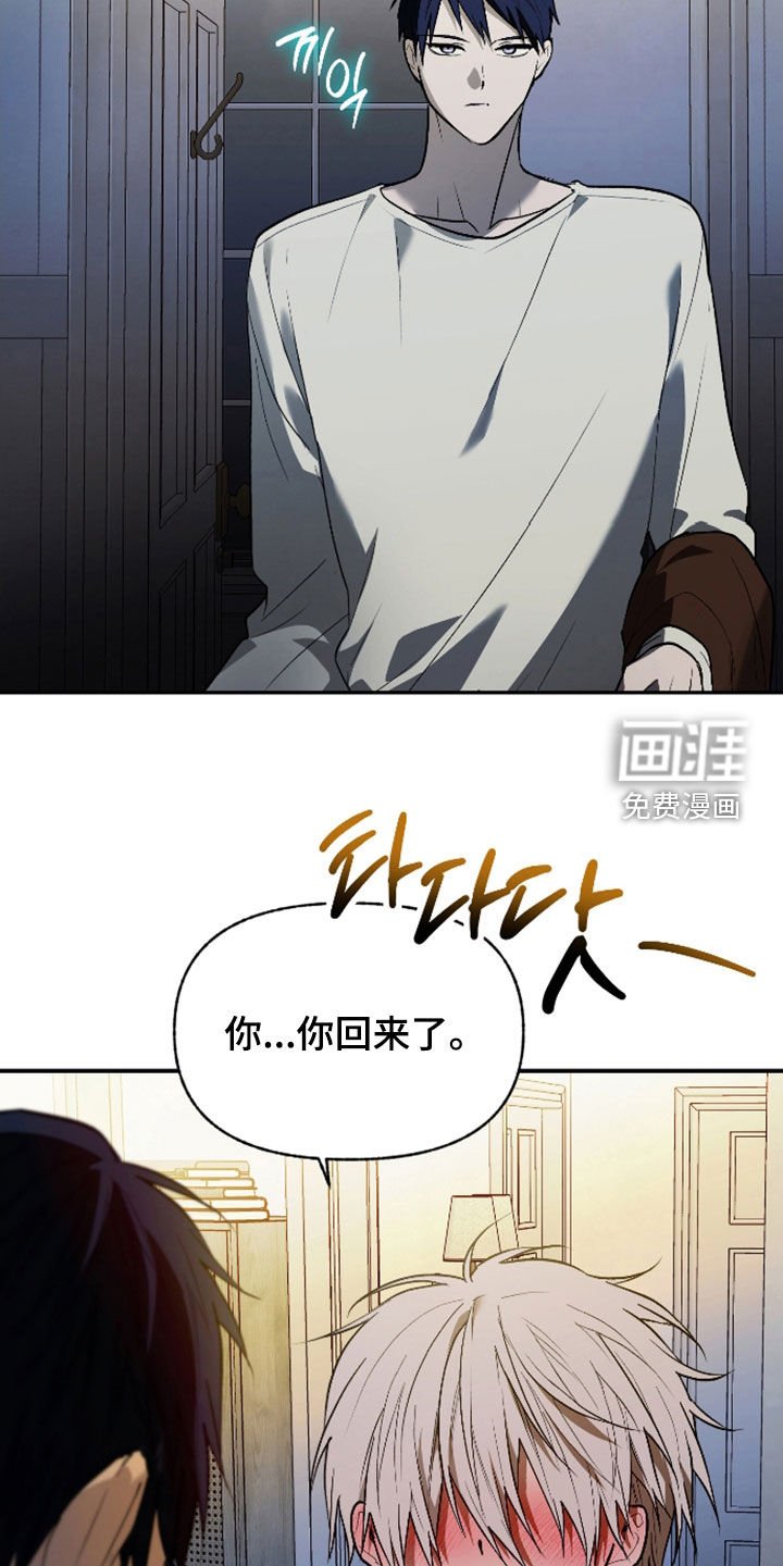 第40章：宠物