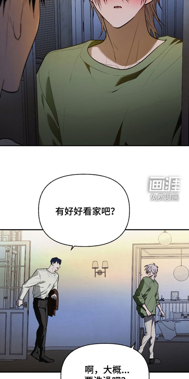 第40章：宠物