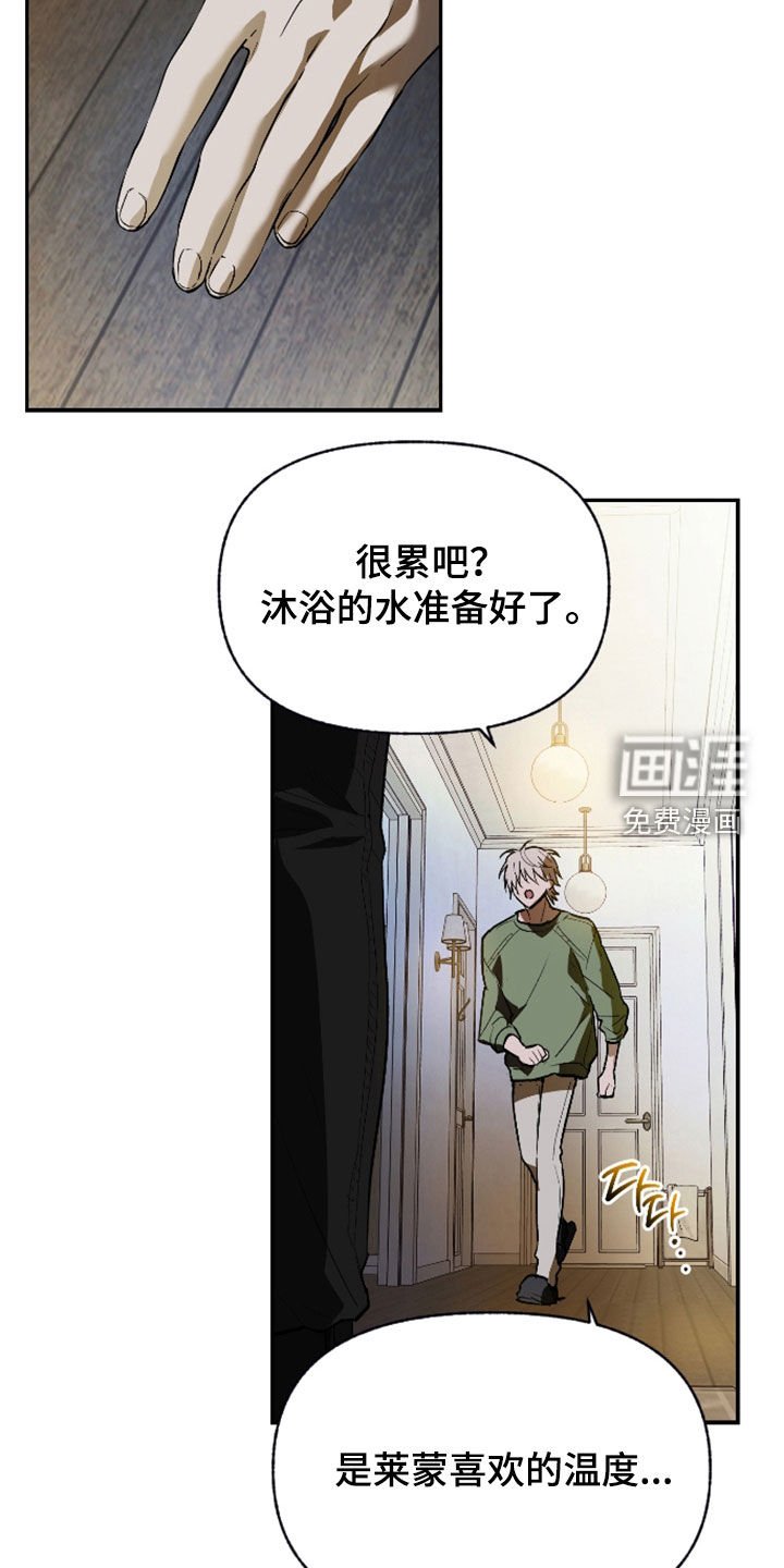 第40章：宠物