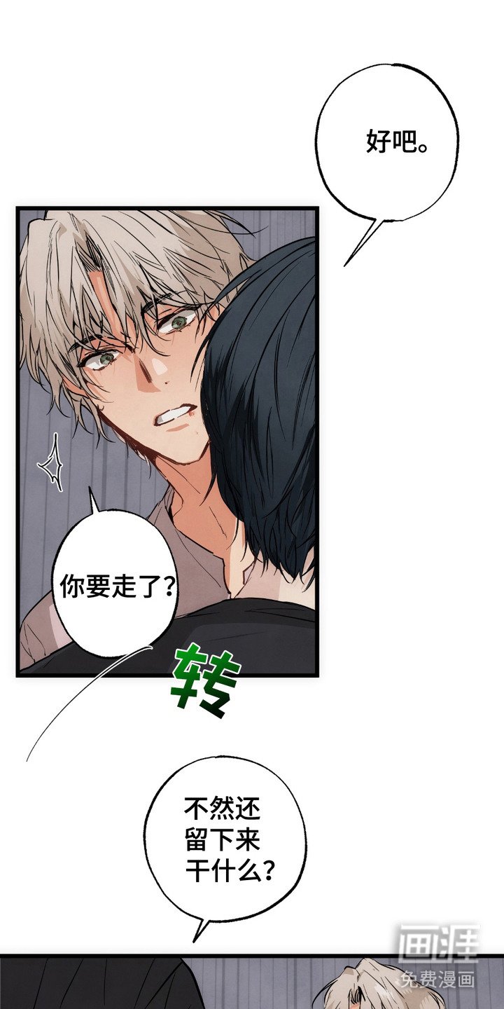 第6章：盯着看