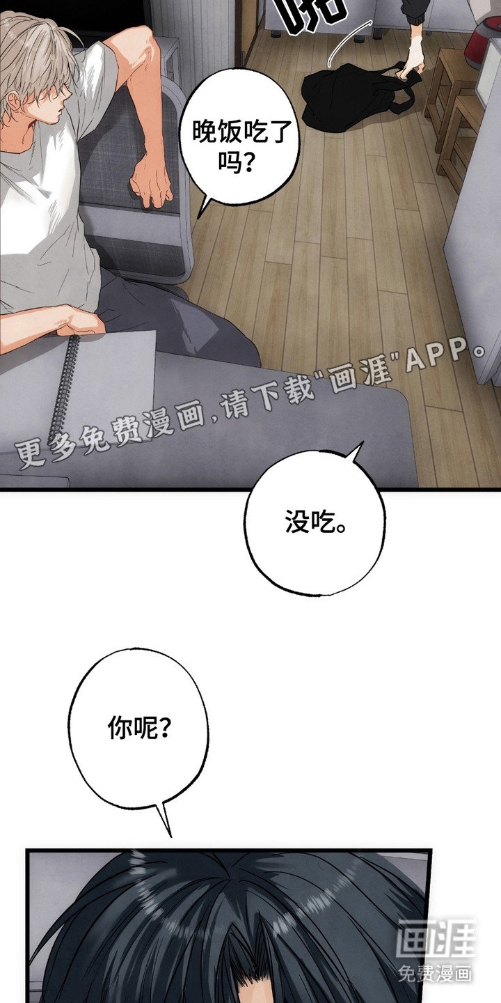 第6章：盯着看