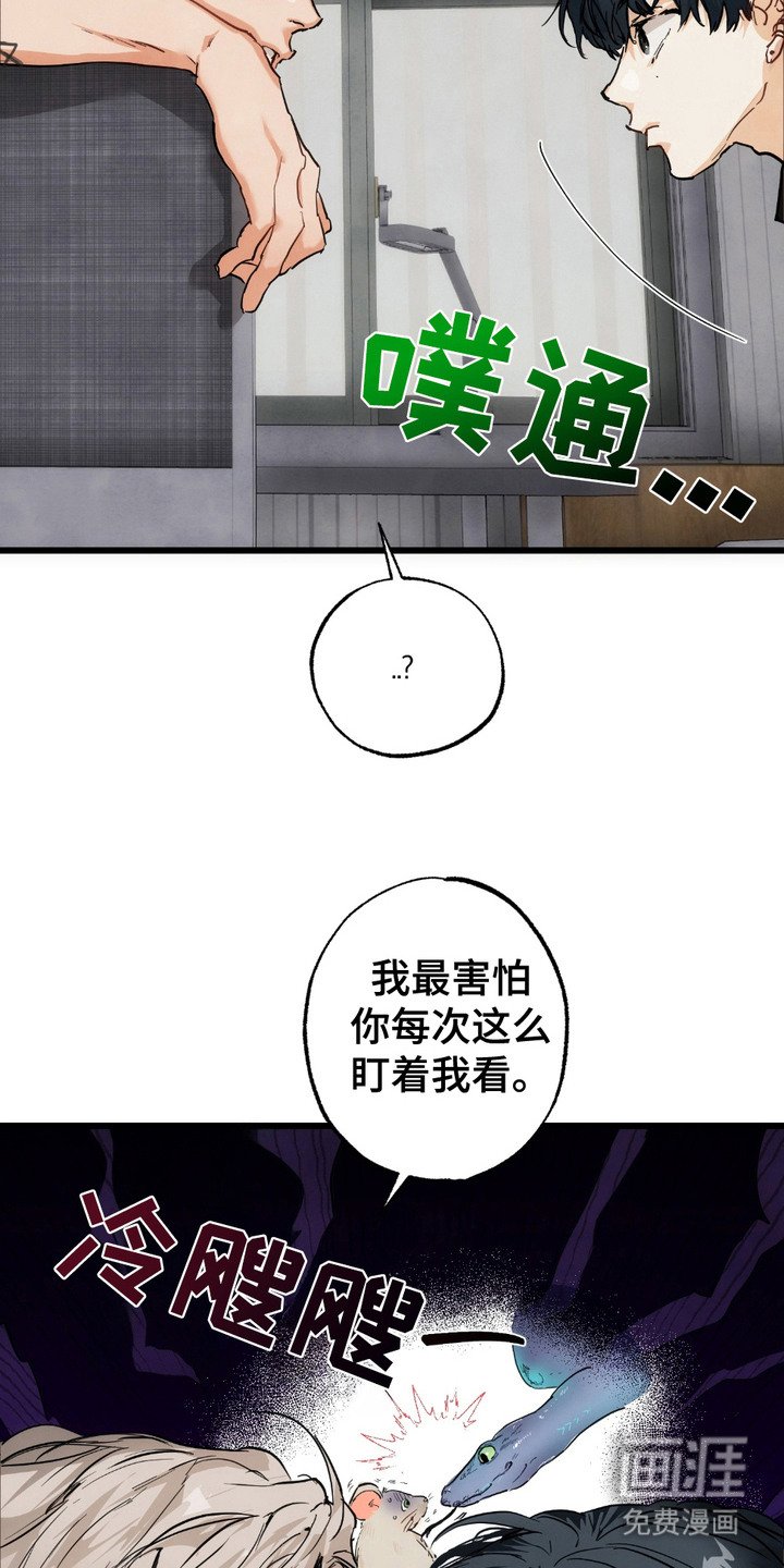 第6章：盯着看